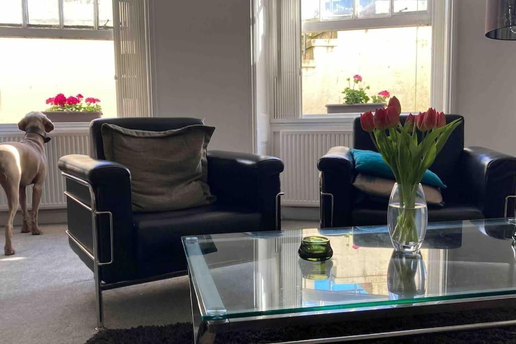 Regency Brighton Seafront Apartment المظهر الخارجي الصورة