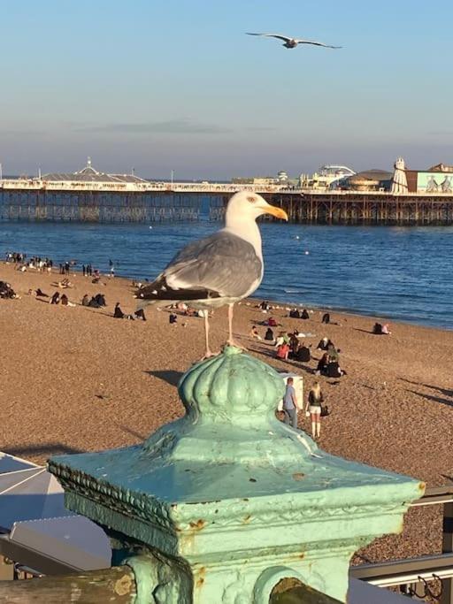 Regency Brighton Seafront Apartment المظهر الخارجي الصورة
